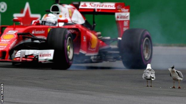 Sebastian Vettel complained of seagulls obstructing him during the Canadian Grand Prix