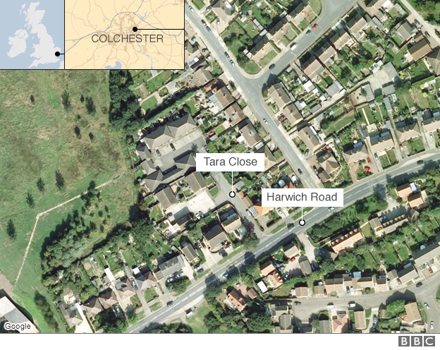 Essex dog attack locator