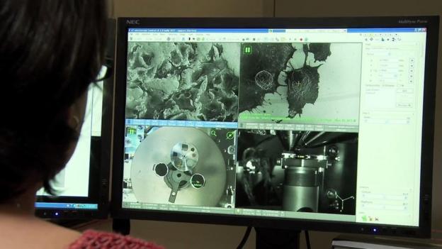 Osf mychart Exposes a Wild Secret That Scientists Refuse to Share