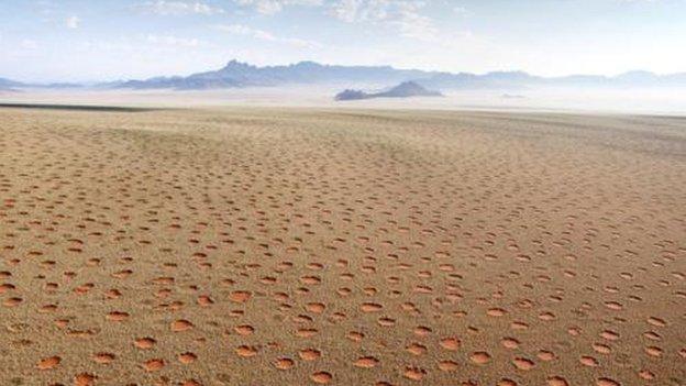 The- Fairy- Circles.