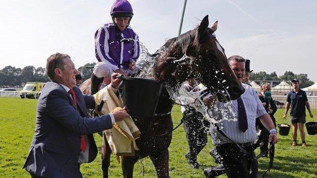 Highland Reel at Royal Ascot