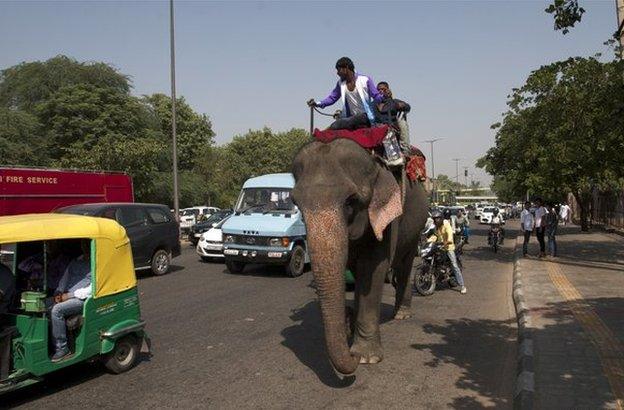 An elephant walking amid the traffic in a Delhi street