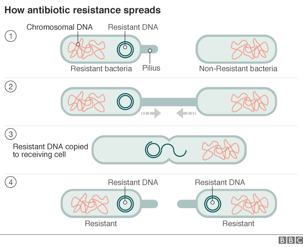 How resistance spreads