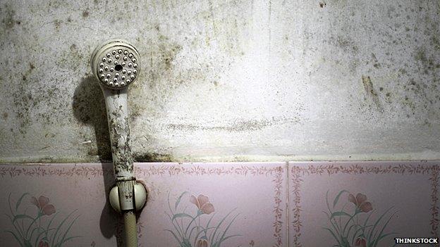 Grubby showerhead in a budget hotel