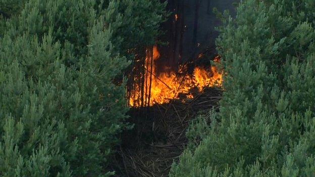 Fire at Thetford Forest