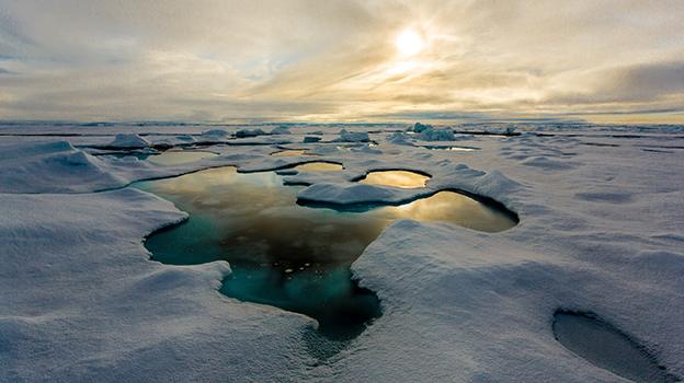 Arctic ice