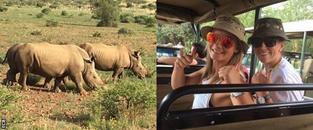 Rhinos and England cricketers on safari