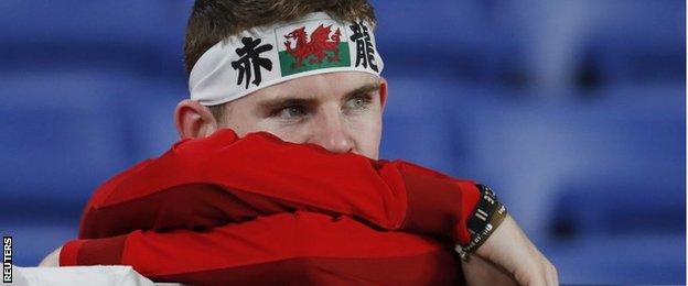 Wales fan