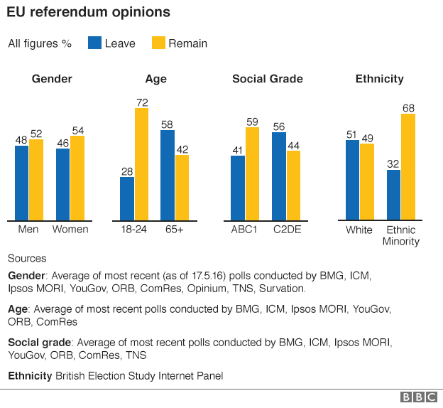 EU referendum opinions