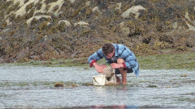 Fishing in UK seagrass