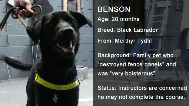 Benson