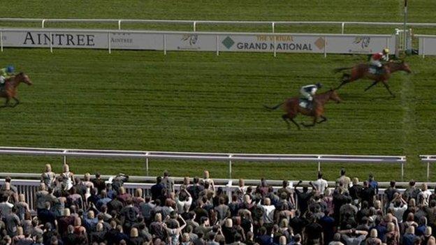 The Virtual Grand National