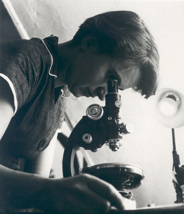 Rosalind Franklin