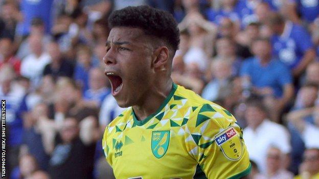 Onel Hernandez celebrates getting the second Norwich goal