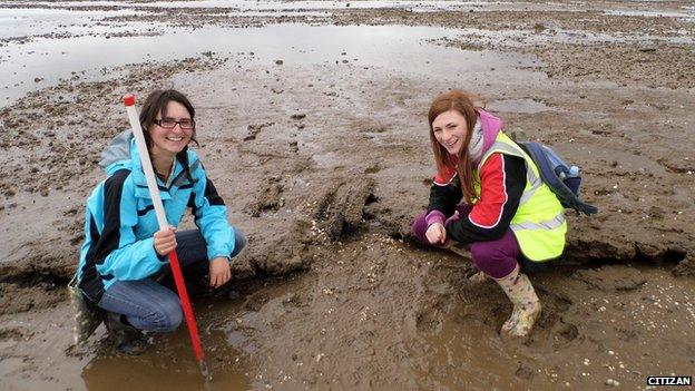 Archaeologists on Cleethorpes beach