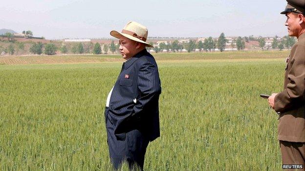 North Korean leader Kim Jong Un visits Farm No 1116. 1 June 2015