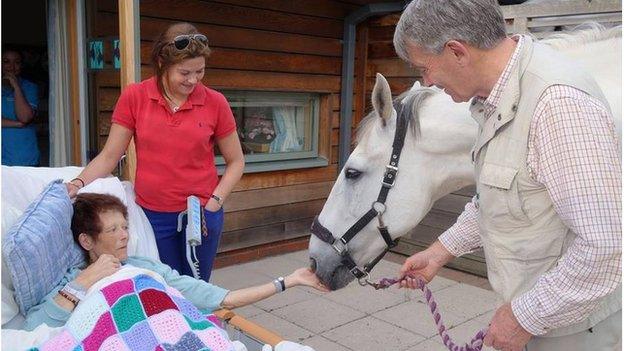 The horse and Catriona