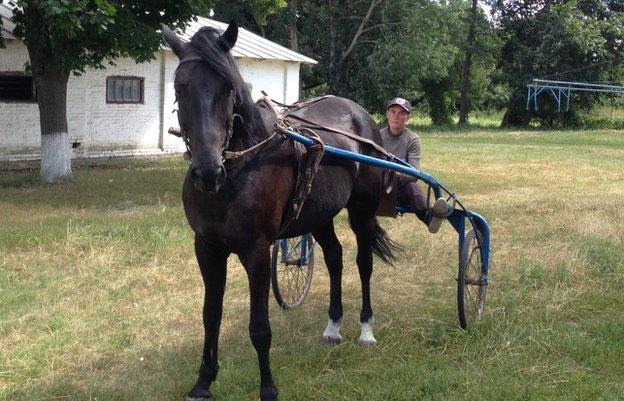 Horse and jockey at Dibrivsky horse farm