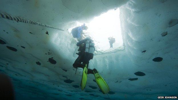 A diver rises to the surface underneath the ice