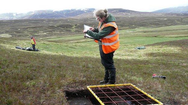 Mar Lodge research