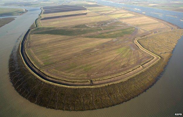 Wallasea Island, 2012