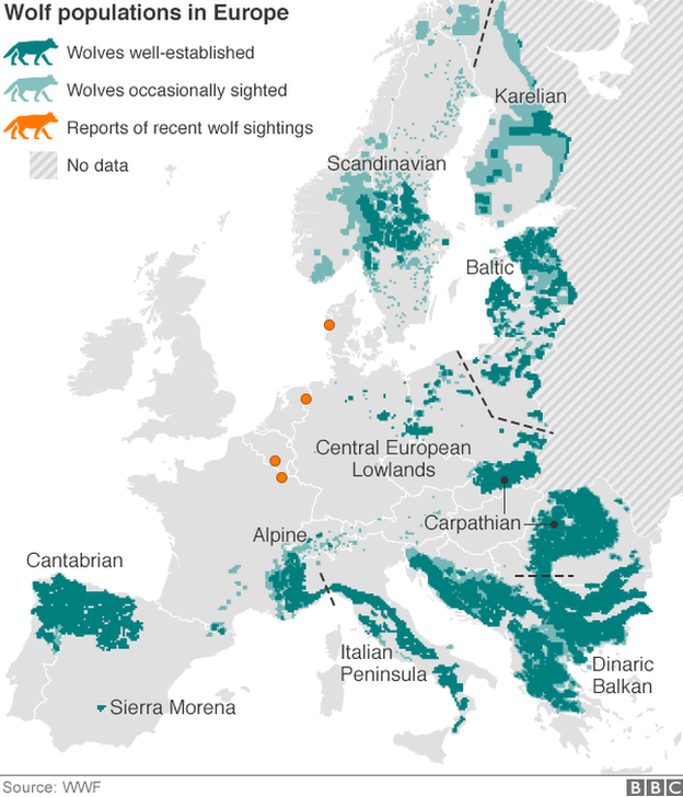 Wolf distribution map