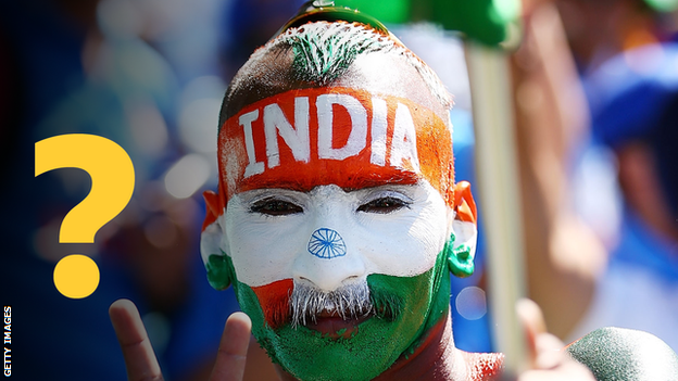 India fan at the Cricket World Cup