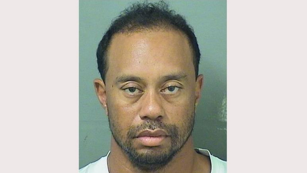 Golfer Tiger Woods