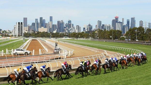 Runners in the Melbourne Cup