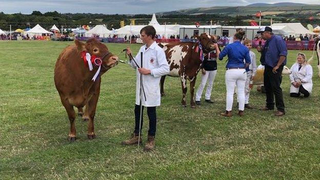 Royal Manx Agricultural Show