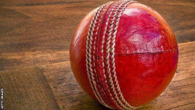 Cricket ball