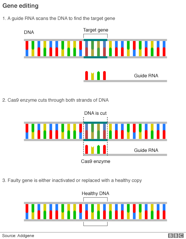 Gene editing