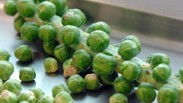 Sprouts