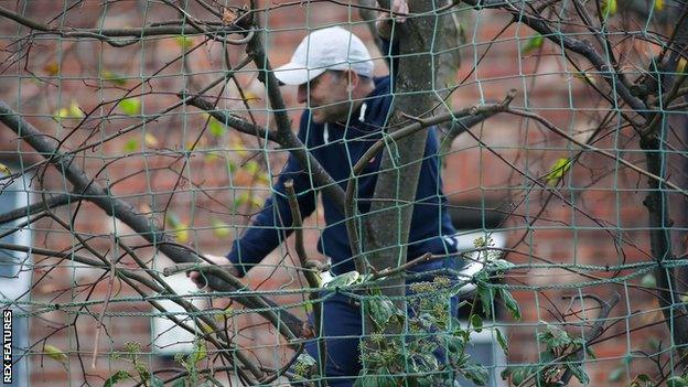 A Marine supporter watches from a tree