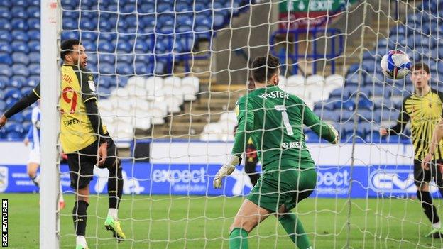 Watford's Etienne Capoue (left) scores an own goal