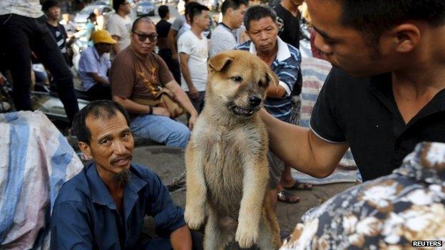 A customer holds a puppy for viewing at Dashichang dog market ahead of a local dog meat festival in Yulin, Guangxi Autonomous Region, June 21, 2015.