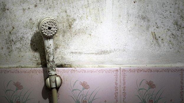 Grubby showerhead in a budget hotel