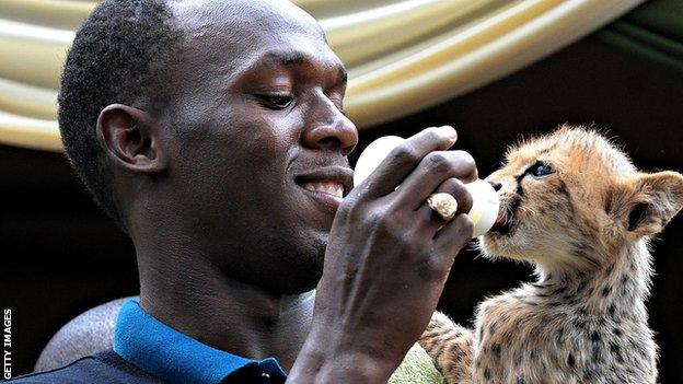 Usain Bolt cheetah