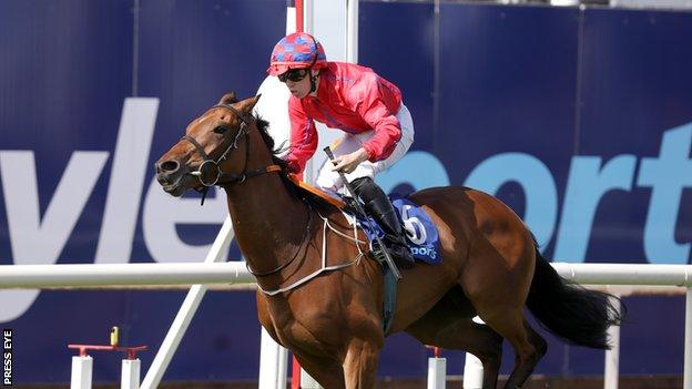 Jamie Powell takes Urban Oasis across the finish line to clinch victory in the Ulster Derby on Saturday