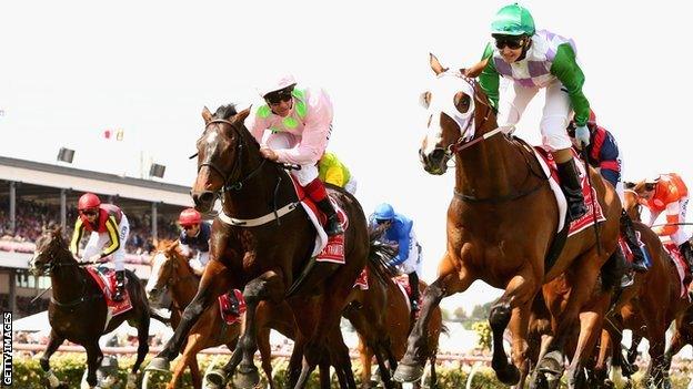 Time of her life: Ms Payne said every Australian jockey dreams of winning the Melbourne Cup. She said she started when she was five