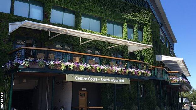 Centre Court and ivy