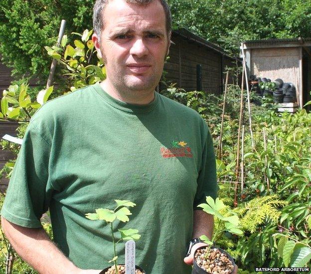 Matthew Hall, head gardener at Batsford Arboretum