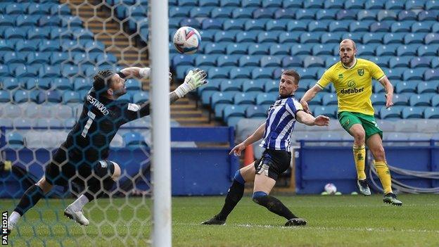 Teemu Pukki scores Norwich's equaliser