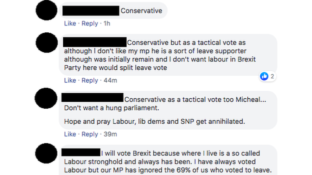 Facebook comments discussing pro-Brexit tactical voting