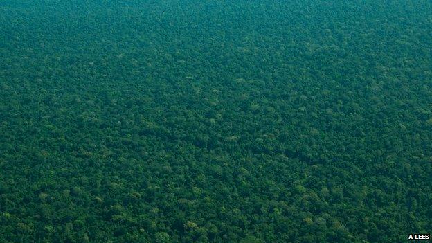 Amazon rainforest aerial shot (c) Alexander Lees