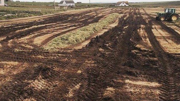 Damaged ground in Caithness farm