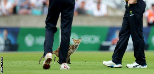 Graham Wagg and a fox