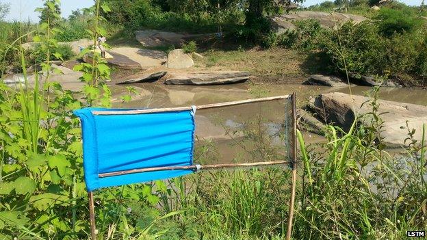 The targets have been placed along the edge of rivers, lakes and swamps where the tsetse fly breeds