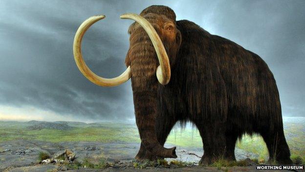 Woolly Mammoth