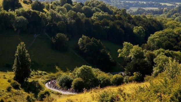 A view of the route at Box Hill